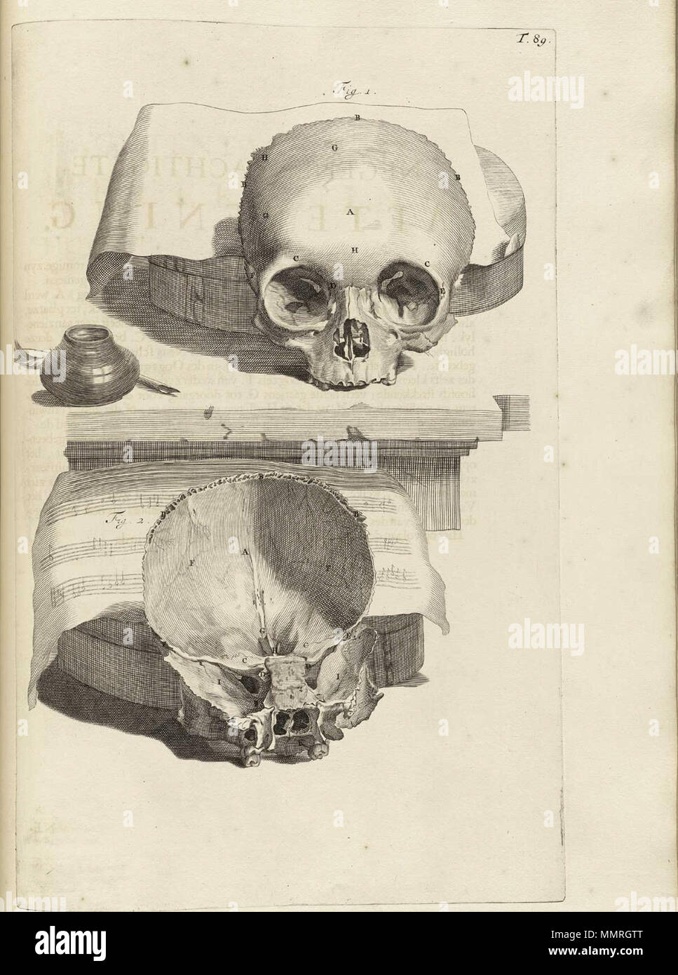 . Govard Bidloo, (1649-1713): Ontleding des menschelyken lichaams Amsterdam, 1690. (= niederländische Sprache Edition von Anatomia Humani Corporis, 1685). Gerard de Lairesse (Zeichnungen), Abraham Blooteling, Pieter Stevens van Gunst (GRAVEURE)/Scans von NLM Bidloo Ontleding 1690 89 Stockfoto