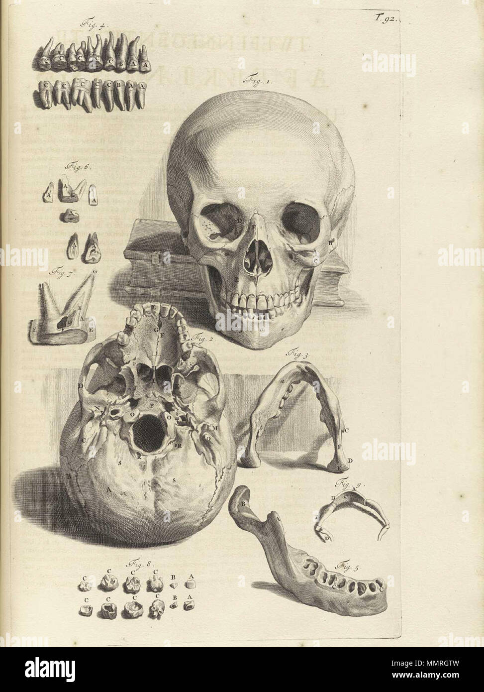 . Govard Bidloo, (1649-1713): Ontleding des menschelyken lichaams Amsterdam, 1690. (= niederländische Sprache Edition von Anatomia Humani Corporis, 1685). Gerard de Lairesse (Zeichnungen), Abraham Blooteling, Pieter Stevens van Gunst (GRAVEURE)/Scans von NLM Bidloo Ontleding 1690 92 Stockfoto