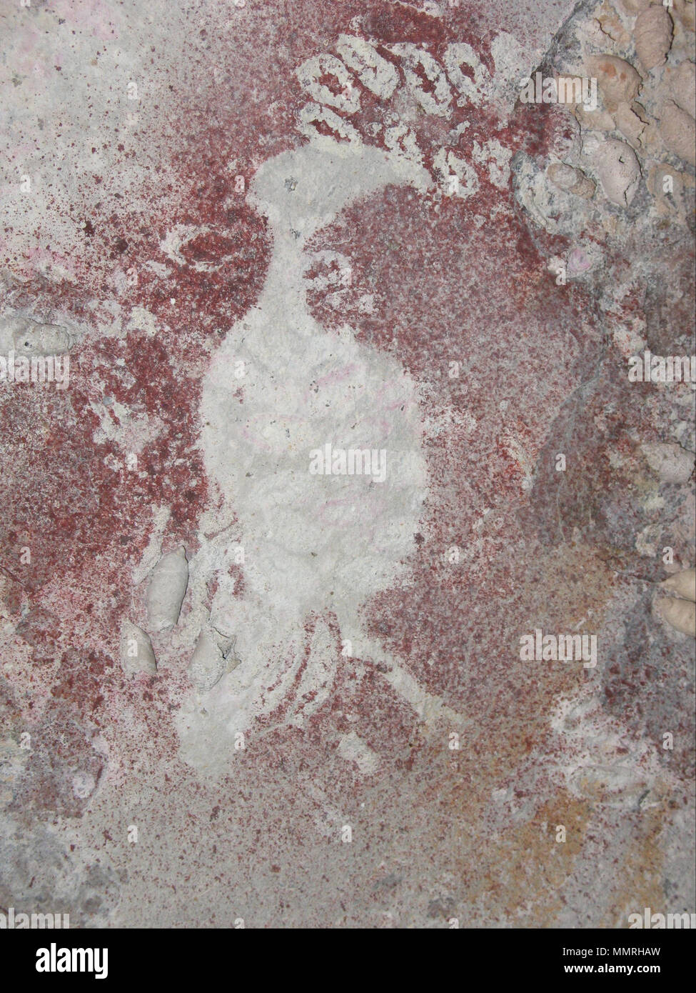 Vogel stencil 4. -7000. Vogel Schablone 4 - Google Kunst Projekt Stockfoto