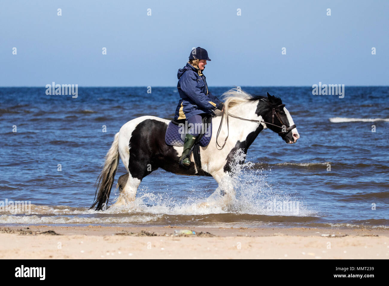 Southport, Merseyside. 13. Mai 2018. UK Wetter. Maria Wilkins von Chorley Fahrten ihren Geliebten 8-Jährigen cob 'Patch' entlang der Flut am goldenen Sandstrand von Southport Strand in Merseyside. Credit: cernan Elias/Alamy leben Nachrichten Stockfoto