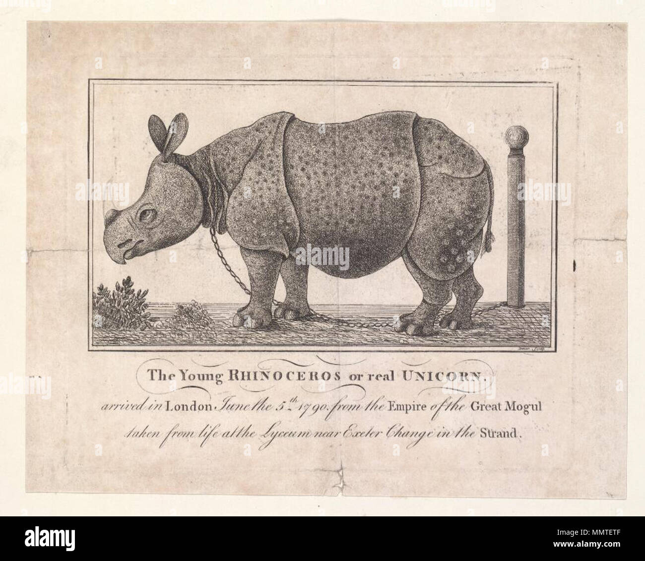 . Drucken des Lyceum Theatre, Juni 5 1790; leicht verschmutzte, gerillt und zerrissen; Lyceum Theatre; junge Nashorn oder echten Einhorn Junge Nashorn oder echten Einhorn. 5. Juni 1790. Lyceum Theatre (London, England) [Thema] Bodleian Bibliotheken, Junge Nashorn oder echten Einhorn Stockfoto