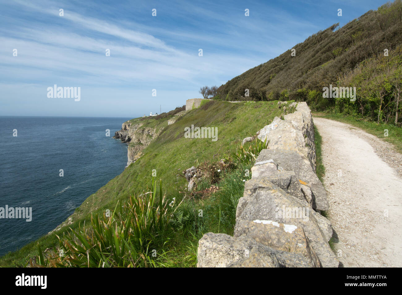 Küstenweg in Durlston Country Park und Naturreservat in Dorset, Großbritannien Stockfoto