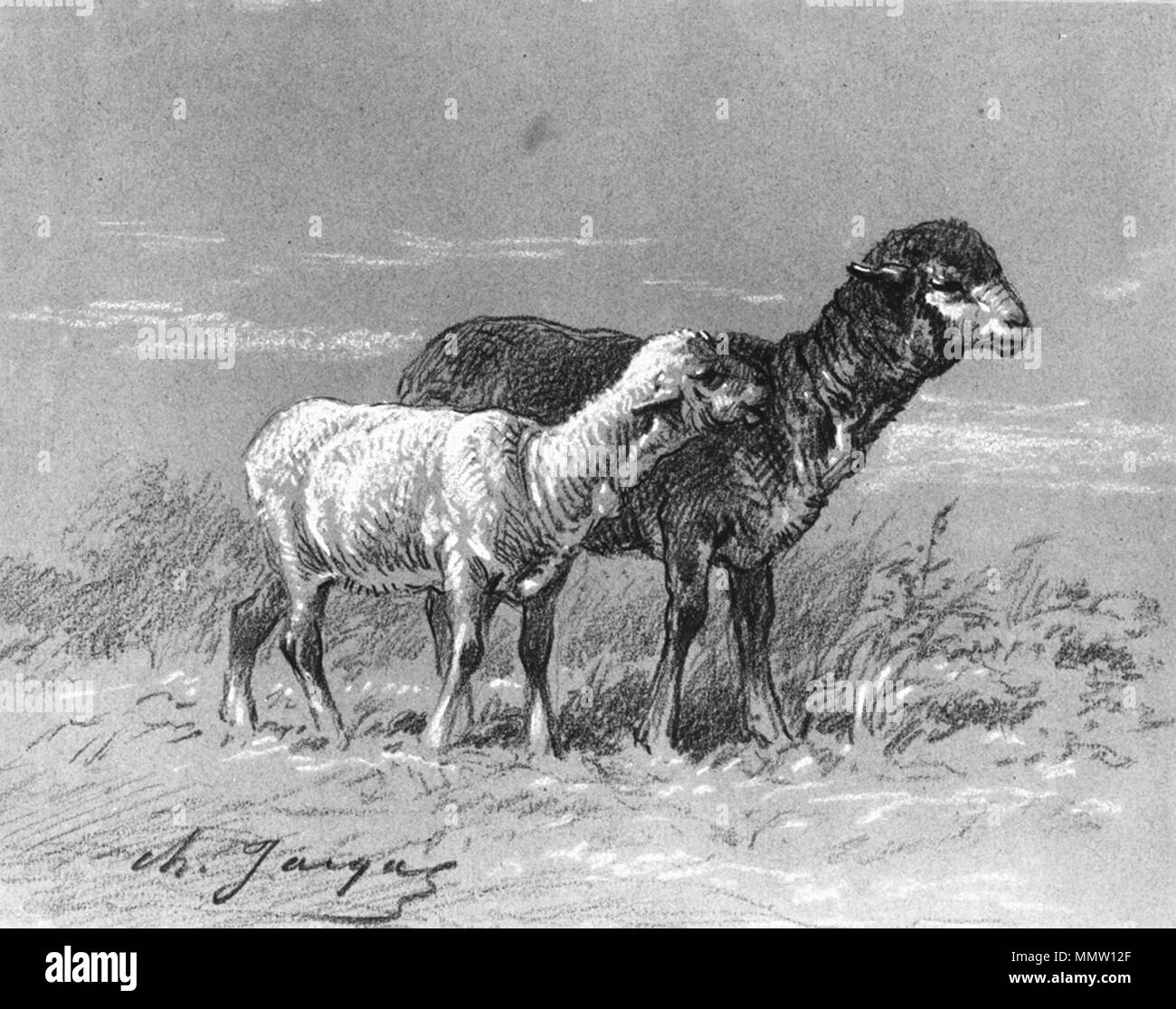 37.1619 Charles Emile Jacque (Französisch, 1813-1894). "Mutterschaf und Lamm, "Ca. 1860. Schwarze Kreide und Pastell auf grau, mäßig dick, leicht strukturierte webte Papier. Walters Art Museum (37.1619): Erworben durch William T. Walters. Charles Émile Jacque - Mutterschaf und Lamm - Walters 371619 Stockfoto