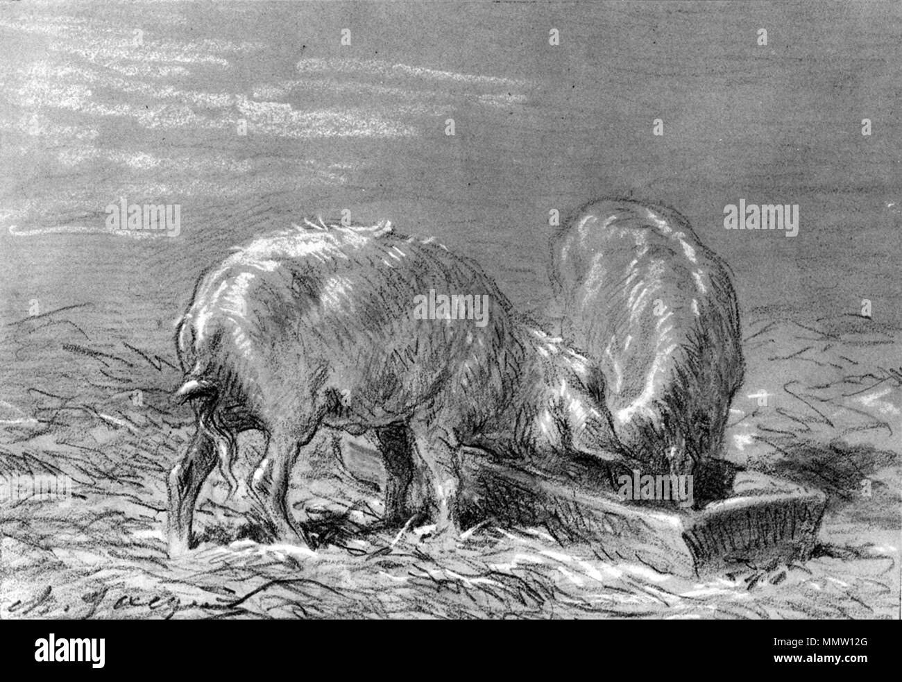 37.1638 Charles Emile Jacque (Französisch, 1813-1894). 'Zwei Schweine Essen aus einem Trog, 'Ca. 1860. In Pastelltönen auf beige, Dick, mäßig strukturierten webte Papier. Walters Art Museum (37.1638): Erworben durch William T. Walters. Charles Émile Jacque - zwei Schweine Essen aus einem Trog - Walters 371638 Stockfoto