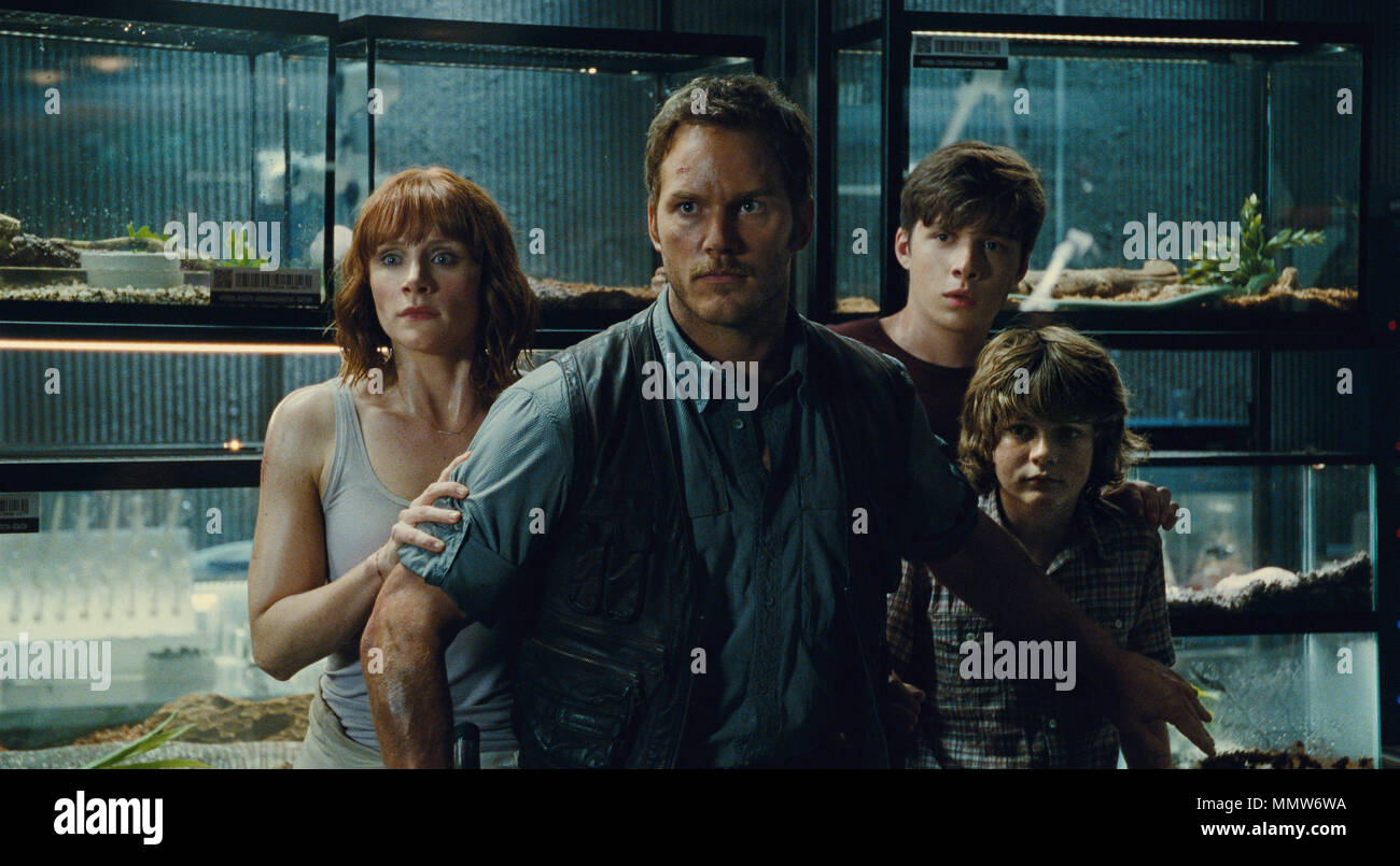 Erscheinungsdatum: Juni 12, 2015 TITEL: Jurassic World Studio: Universal Pictures Regie: Colin Trevorrow PLOT: Ein neues Theme Park, auf dem ursprünglichen Aufstellungsort von Jurassic Park gebaut, schafft eine gentechnisch veränderte Pflanze Dinosaurier, die Auffangvorrichtungen entkommt und geht auf einen Amoklauf. STARRING: CHRIS PRATT, Bryce Dallas Howard, Ty Simpkins. (Bild: © Universal Pictures/Entertainment Bilder) Stockfoto