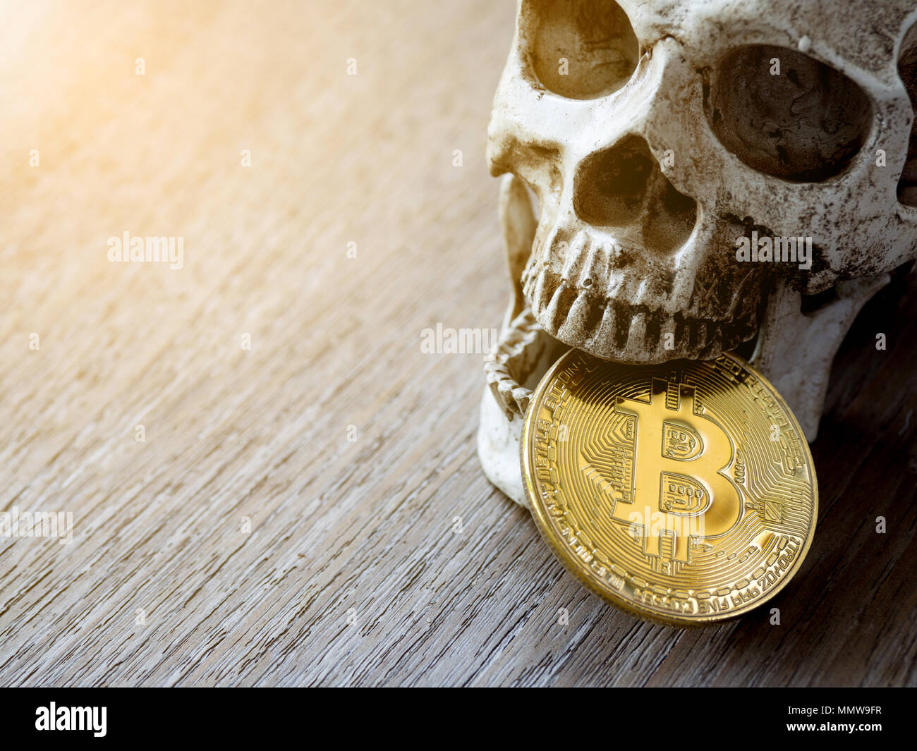 Nahaufnahme von Schädel beißen Golden bitcoin auf hölzernen Tisch. Das  Konzept der Investition und die Fluktuation der bitcoin und cryptocurrency.  Das Gefühl der enttäuschend Stockfotografie - Alamy