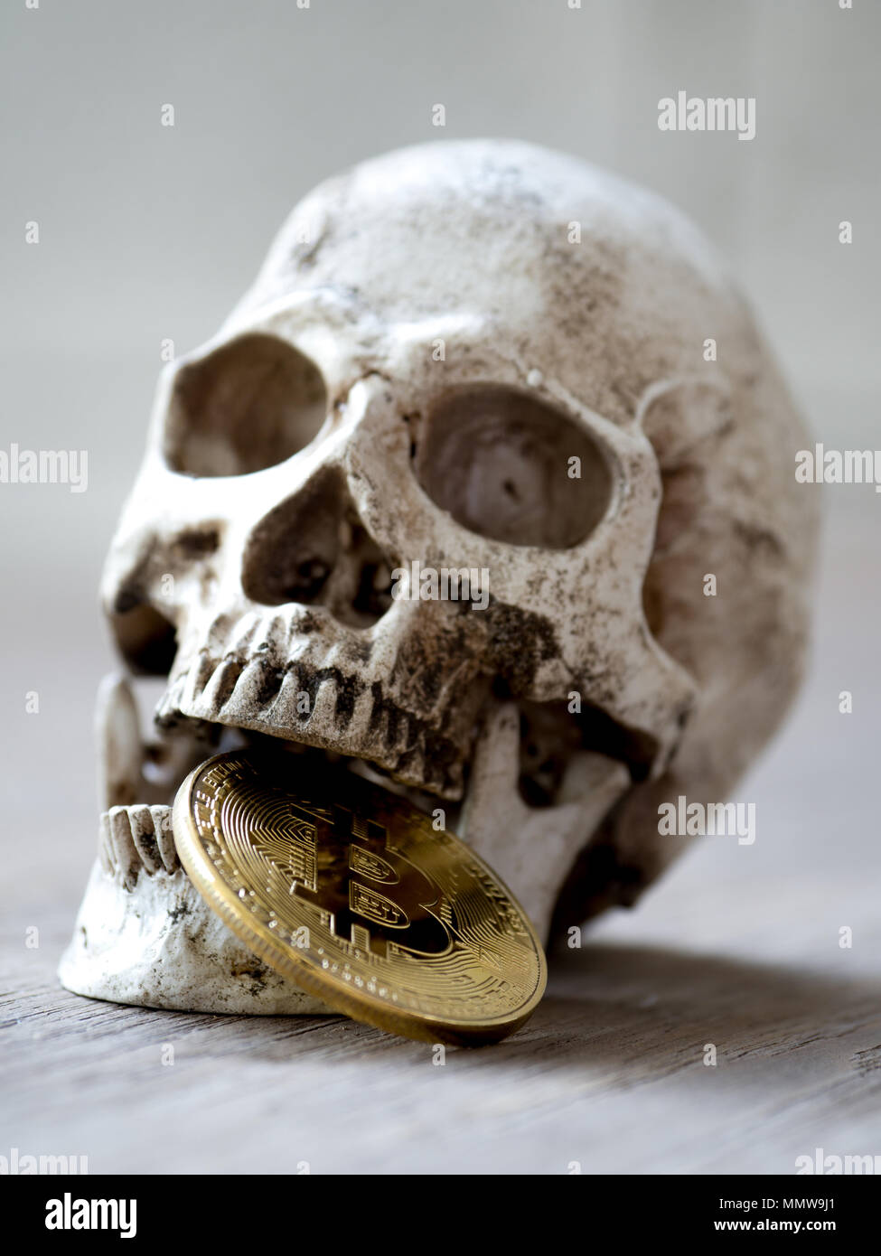 Nahaufnahme von Schädel beißen Golden bitcoin auf hölzernen Tisch. Das  Konzept der Investition und die Fluktuation der bitcoin und cryptocurrency.  Das Gefühl der enttäuschend Stockfotografie - Alamy