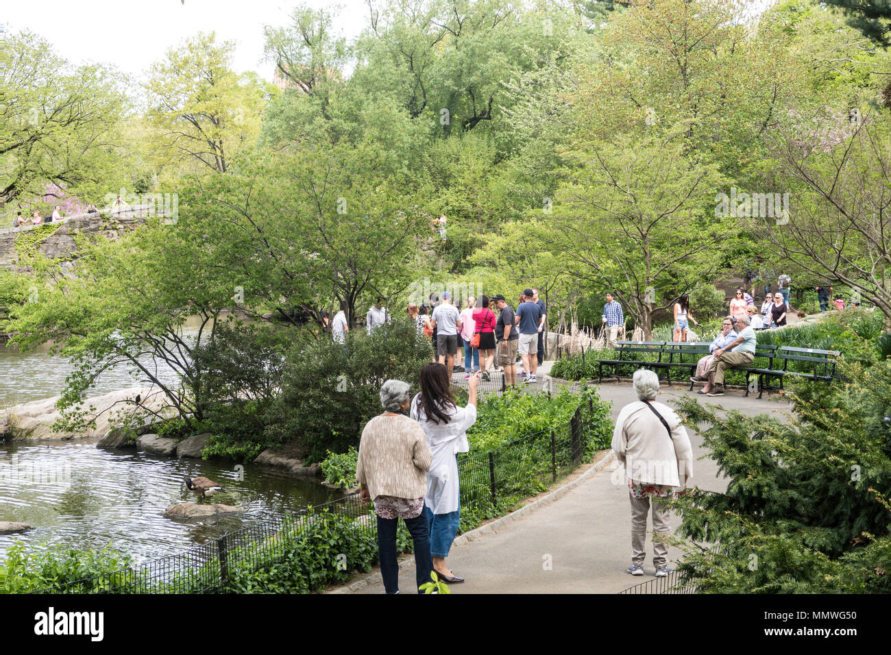 Touristen schlendern durch den Central Park auf dem Weg neben dem Teich