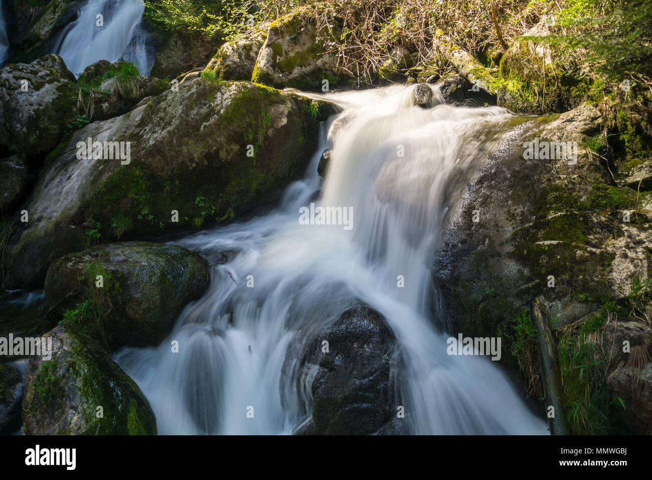 Deutschland, grünes Moos bedeckt Steine in Triberg Wasserfälle im Schwarzwald Stockfoto