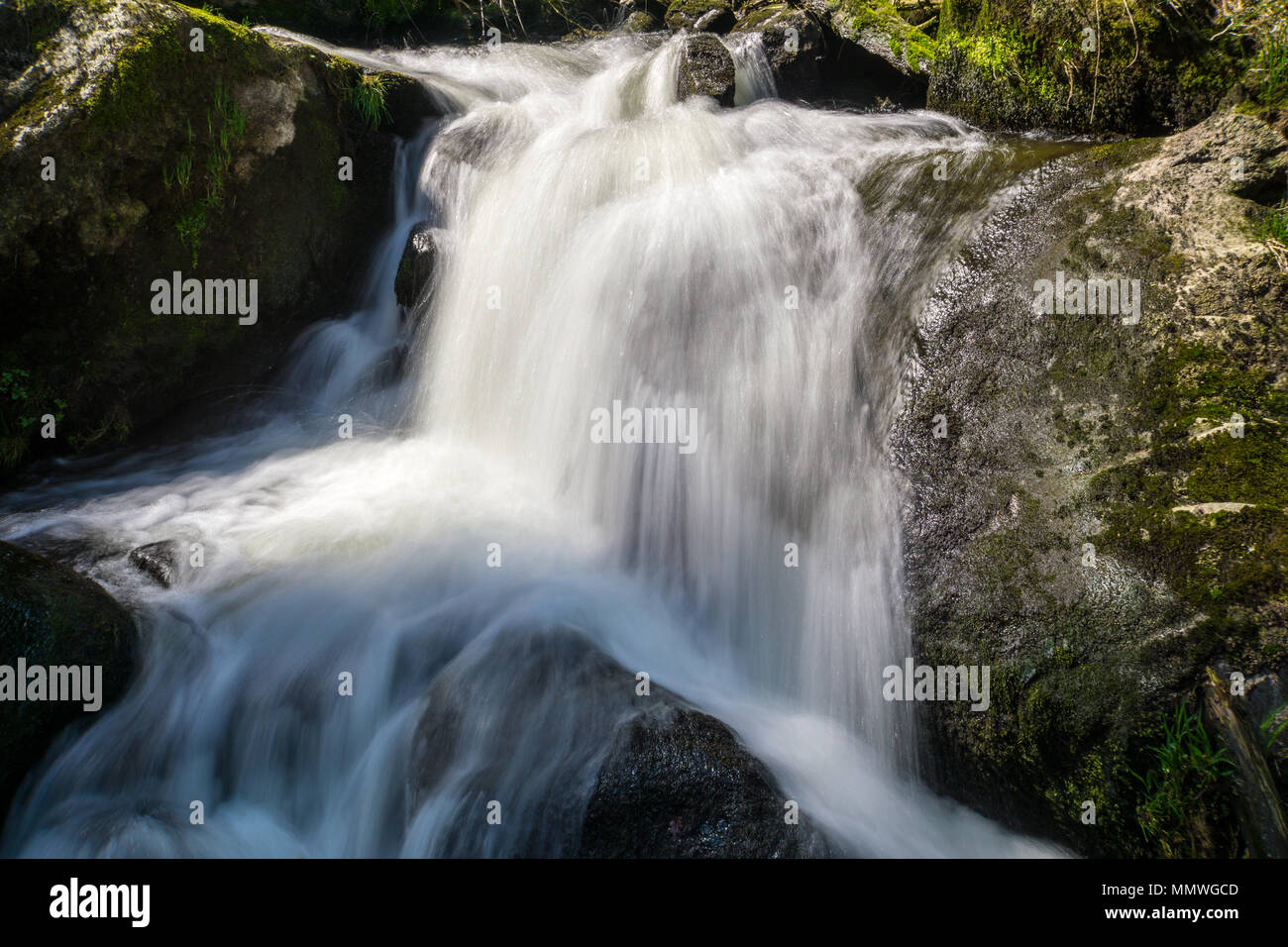 Deutschland, ein Schritt der Triberger Wasserfälle Terrassen im schwarzen Wald Natur Landschaft Stockfoto
