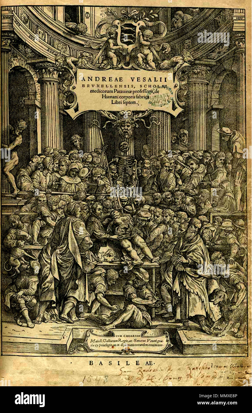 . Englisch: Titel Seite von Andreas Vesalius "De Humani Corporis Fabrica libri septem, Basel Ausgabe von 1543, die von joannis Oporini veröffentlicht. Original gespeichert bei U.S. National Institute der Gesundheit United States Zentralbibliothek für Medizin. Gescannte Version leicht gedreht (359 Grad) für Neigung nach links, um sie zu entfernen. 74 gegenübergestellt. Fabrica titlepg frc Stockfoto