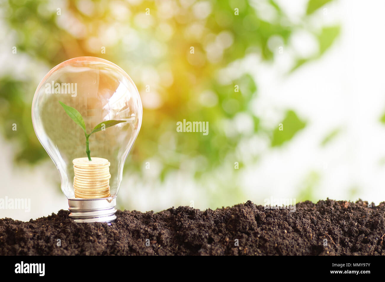 Das Pflanzen von Bäumen und Wachstum auf Geld Münzen, auf Glühbirne mit Boden gestapelt, Konzept in speichern World Environment Day Wiederaufforstung Eco Bio arbor CSR-ESG Stockfoto