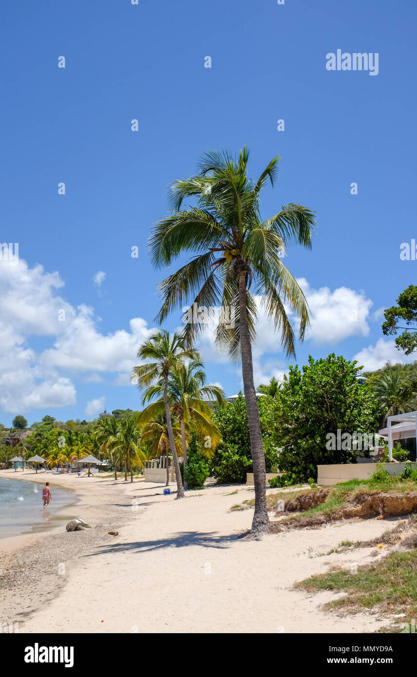 Antigua Inseln der Kleinen Antillen in der Karibik West Indies - Wunderschöne Galeone am Strand von English Harbour Stockfoto