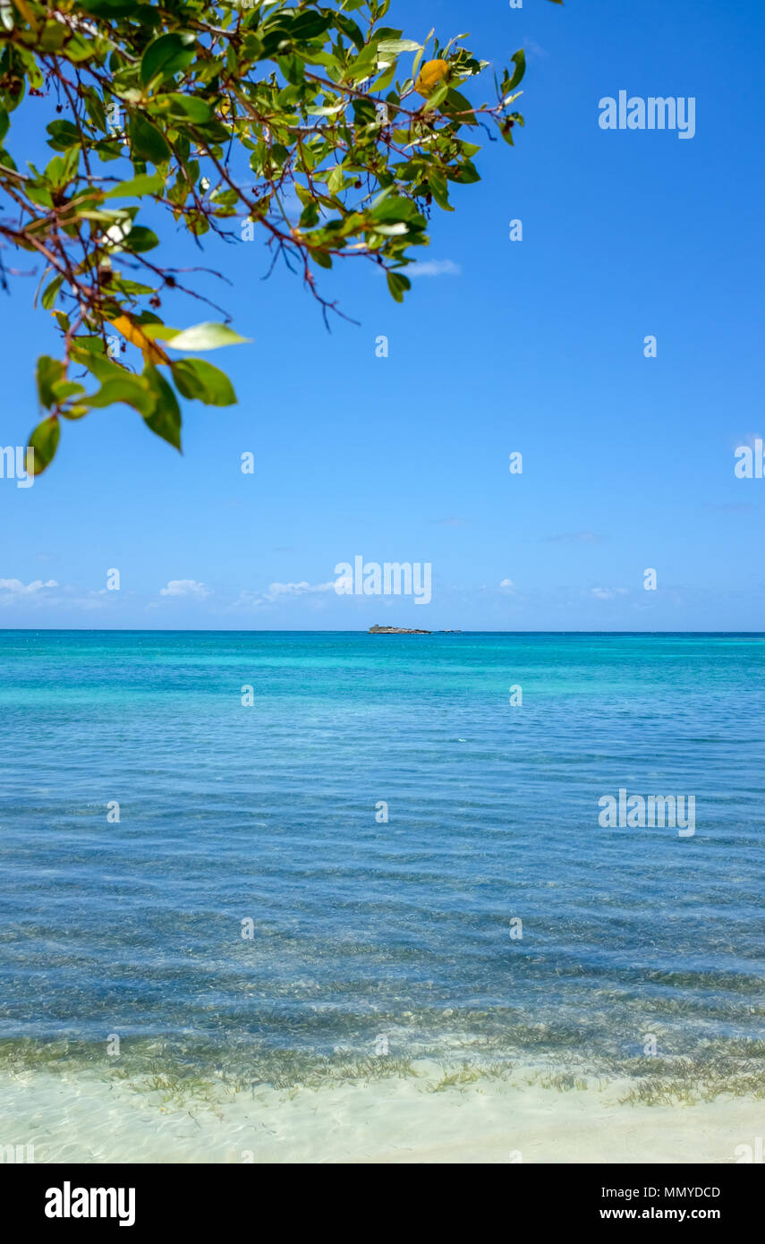 Antigua Inseln der Kleinen Antillen in der Karibik West Indies - wunderschöne Great Bird Island Stockfoto