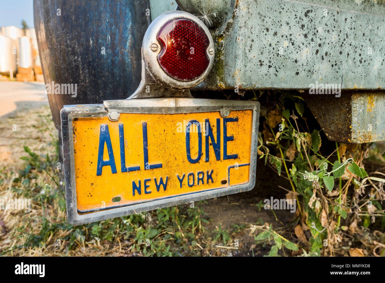 Alle Eine, New York Auto Nummernschild Stockfoto