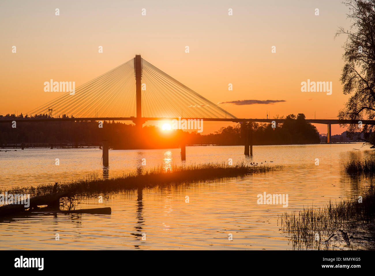 Port Mann Bridge über den Fraser River bei Sonnenuntergang, Port Coquitlam, British Columbia, Kanada Stockfoto