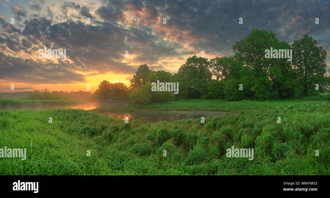 Bunte Sommermorgen. Grünes Feld unter fiolet Wolken. Panoramablick Sommer malerischen Hintergrund. Stockfoto