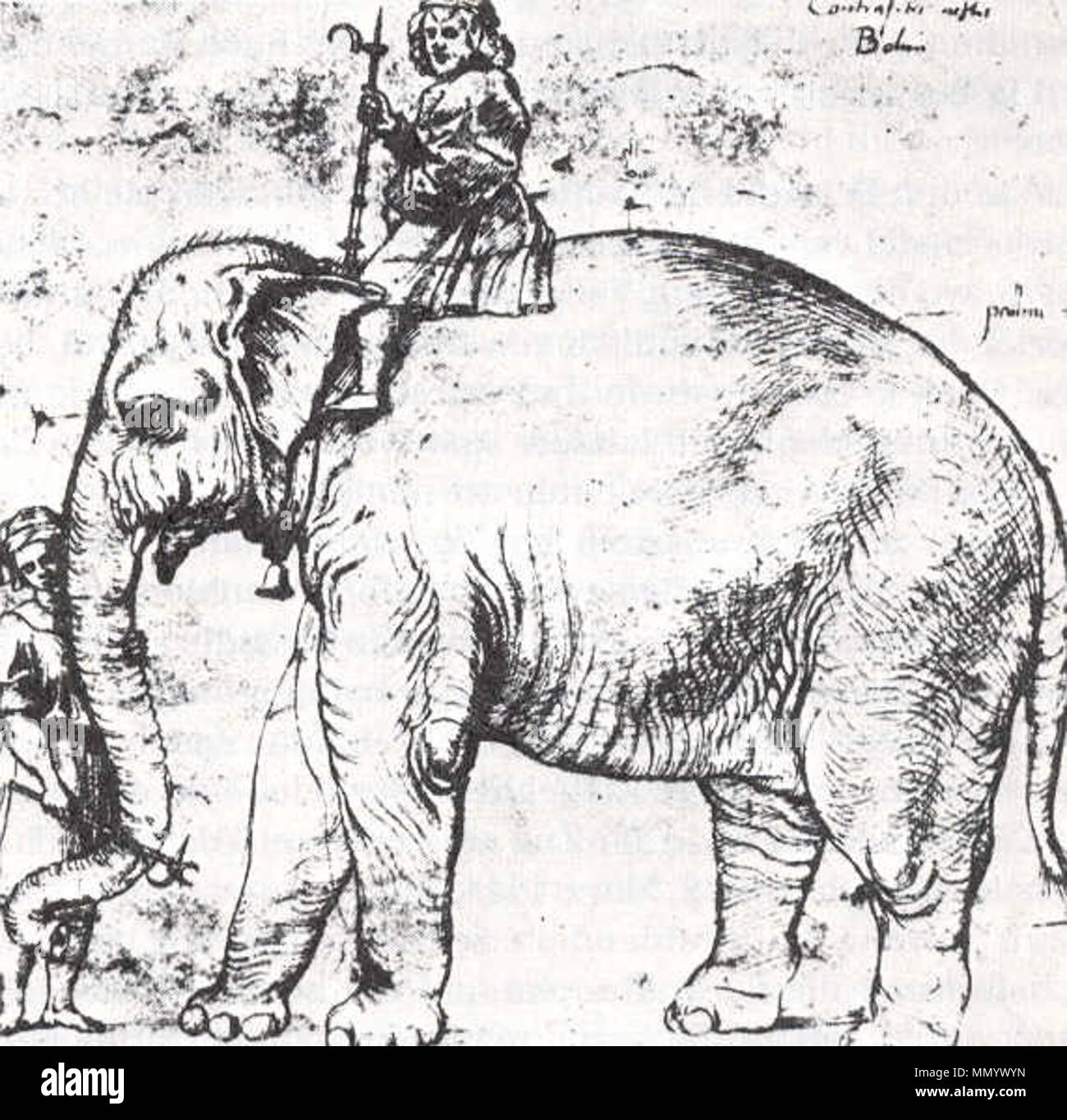 . Hanno, Papst Leo X. Elefant (Zeichnung: Feder und Tinte). ca. 1514/1516. Raffael und Giulio Romano (nach einem verlorenen Zeichnung von Raffael) Hanno. raffael Stockfoto