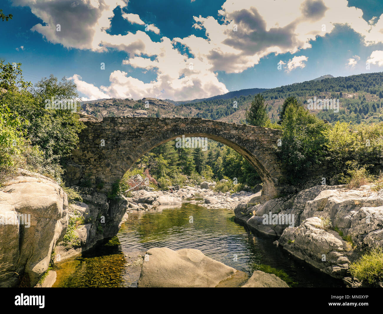 Alte Steinbrücke über den Fluss mit frischem Wasser auf Korsika. Stockfoto