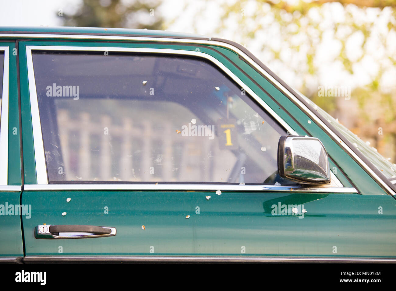 Vordere grüne Tür von retro Auto auf sonnigen Hintergrund. Stockfoto