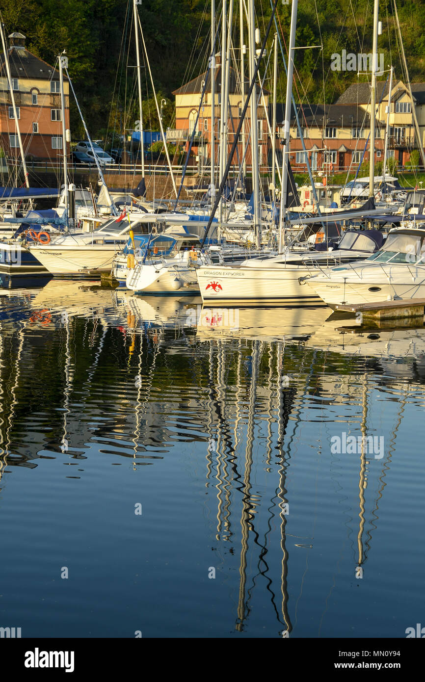 Am frühen Morgen Szene in Penarth Marina. Segelboote sind aufgereiht und in perfekt noch Wasser spiegelt Stockfoto
