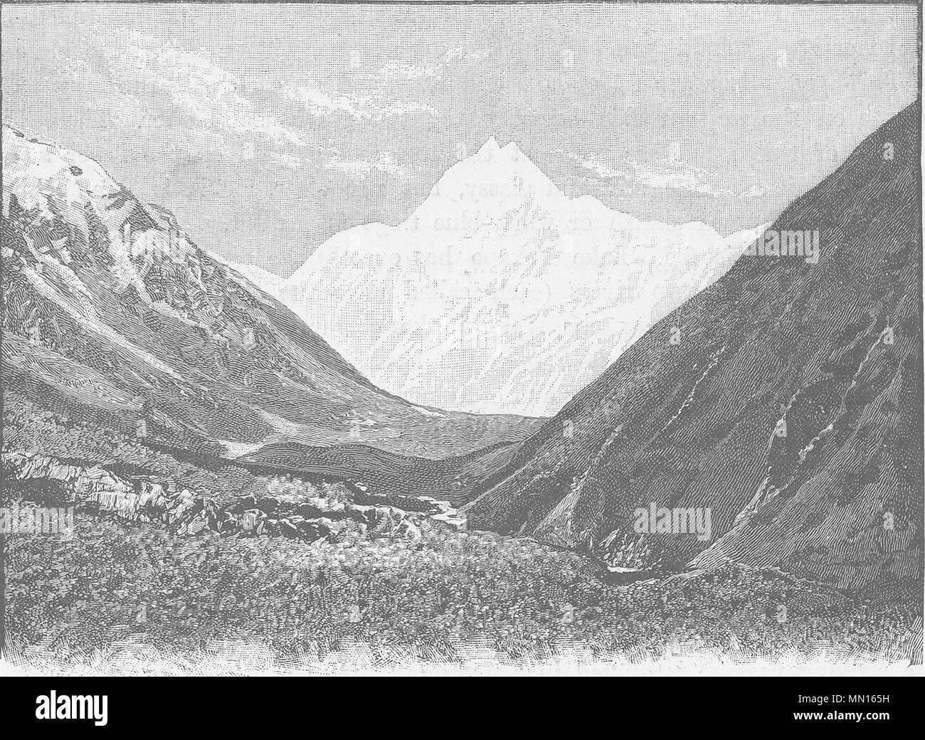 Neuseeland. Mount Cook - 1890 alte antike vintage Bild drucken Stockfoto