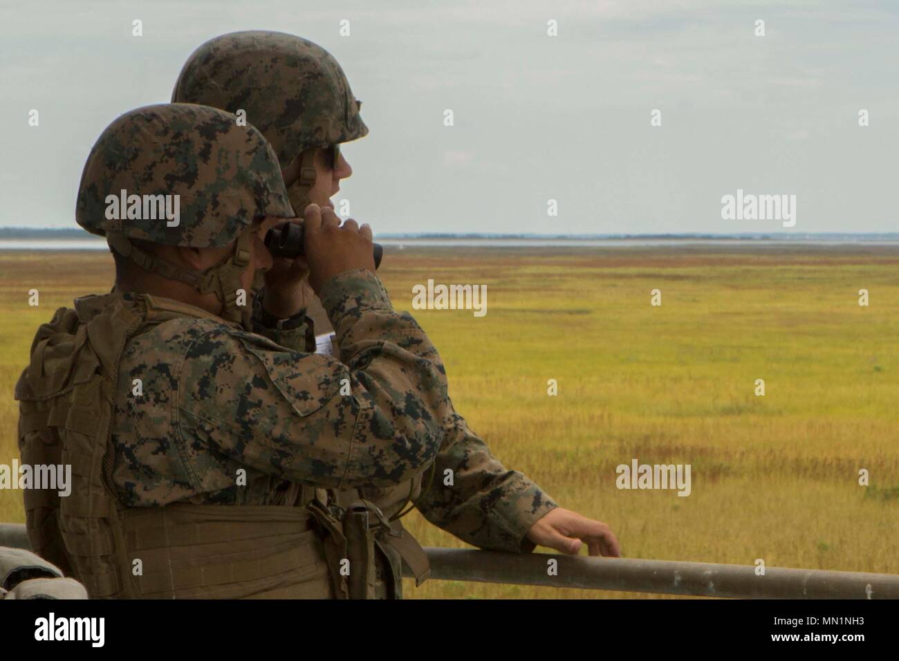 Marines mit 2 Air Naval Geschützfeuer Liaison Unternehmen suchen Sie simulierte Ziele bei der Unterstützung der nahen Luft Ausbildung bei BT11, Atlantic Flugplatz, N.C., Aug 3, 2017. Close Air Support ist Luft durch Flugzeuge gegen feindliche Ziele, die in der Nähe von Friendly Kräfte sind. (U.S. Marine Corps Foto von Lance Cpl. Abrey D. Liggins) Stockfoto