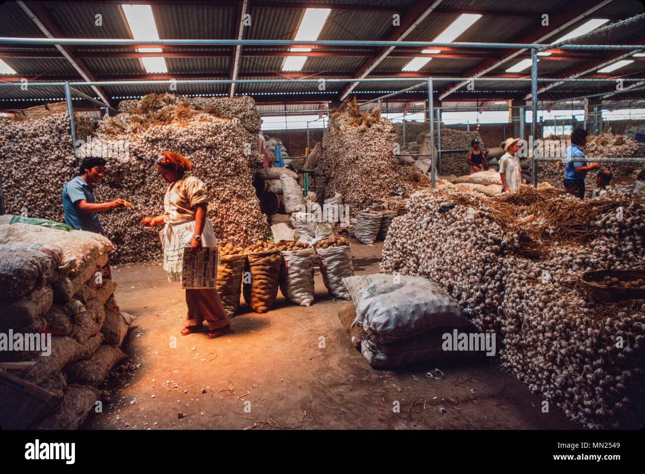 Managua, Nicaragua, Juni 1986. Orientalischer Markt, dem größten Markt in der Hauptstadt - Zwiebeln und Kartoffeln zu verkaufen. Stockfoto