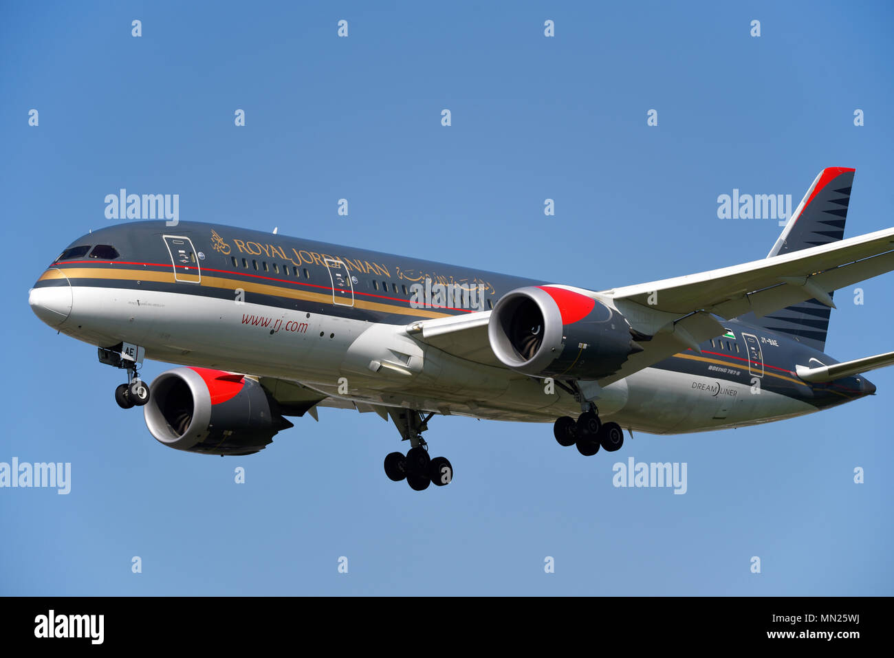 Royal Jordanian Boeing 787 Dreamliner Jet-Flugzeug, das am London Heathrow Airport landet. Boeing 787-8 JY-BAE Stockfoto