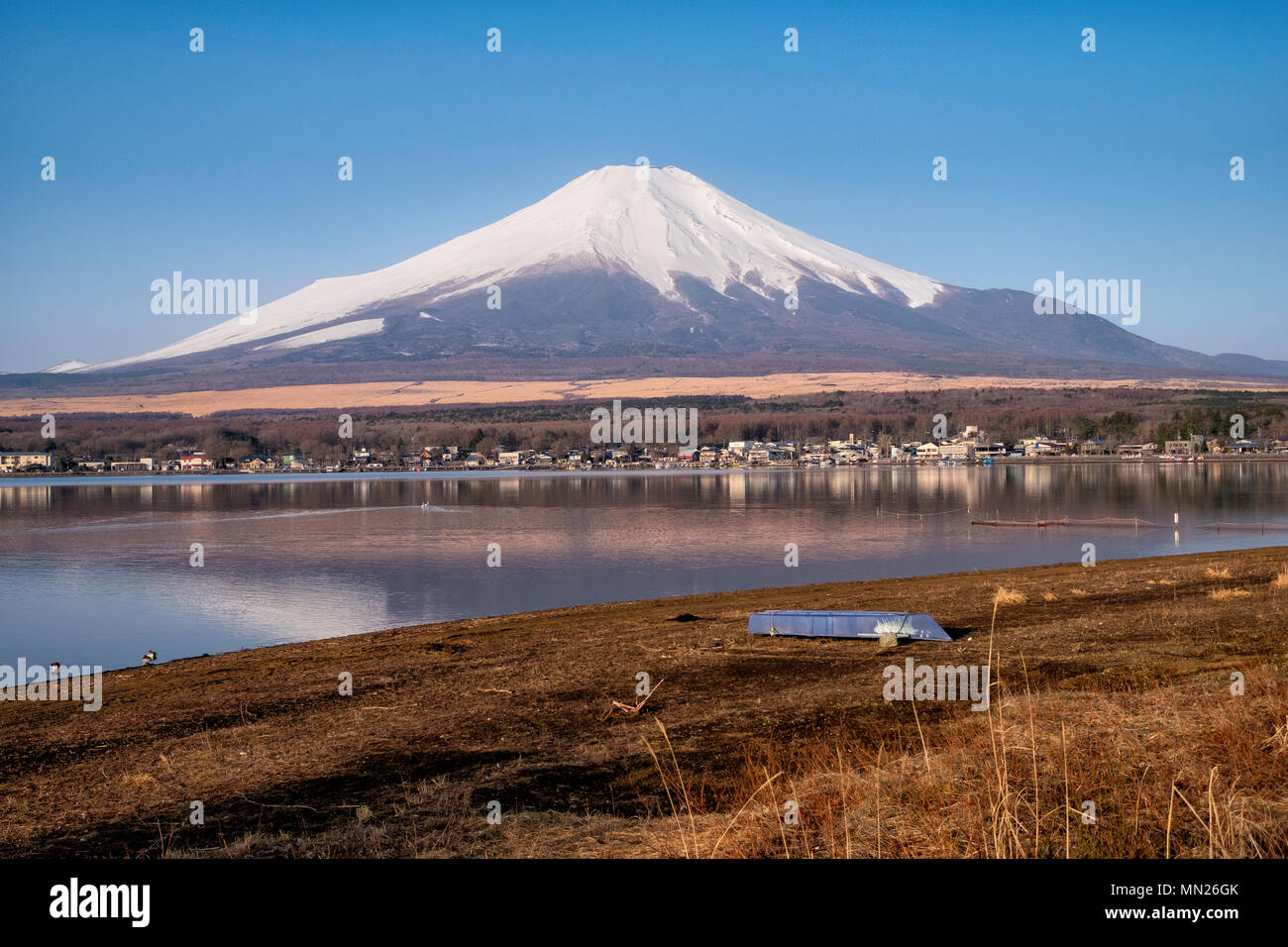 Mt. Fuji in der morgenbrise // Yamana See Stockfoto