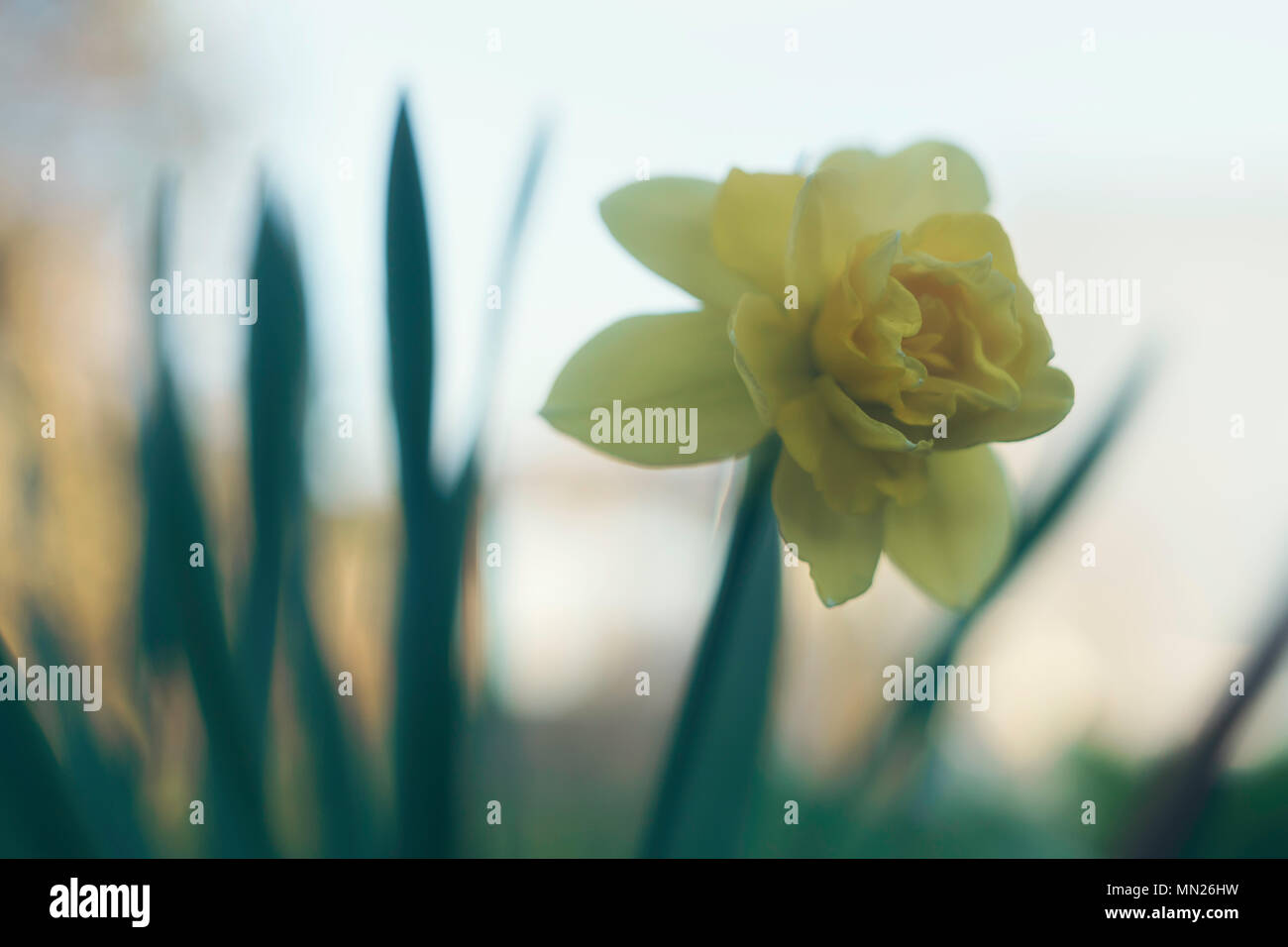 Twisted roll mesh Verrechnung Stockfoto