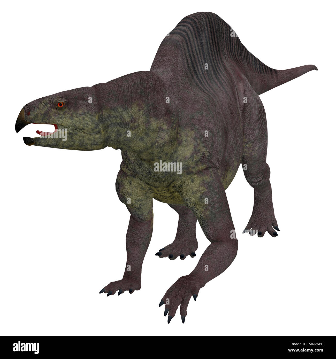 Lotosaurus Dinosaurier auf Weiß - Lotosaurus poposauroid adentis war ein pflanzenfressende Dinosaurier, die in der Volksrepublik China während der Trias lebte. Stockfoto