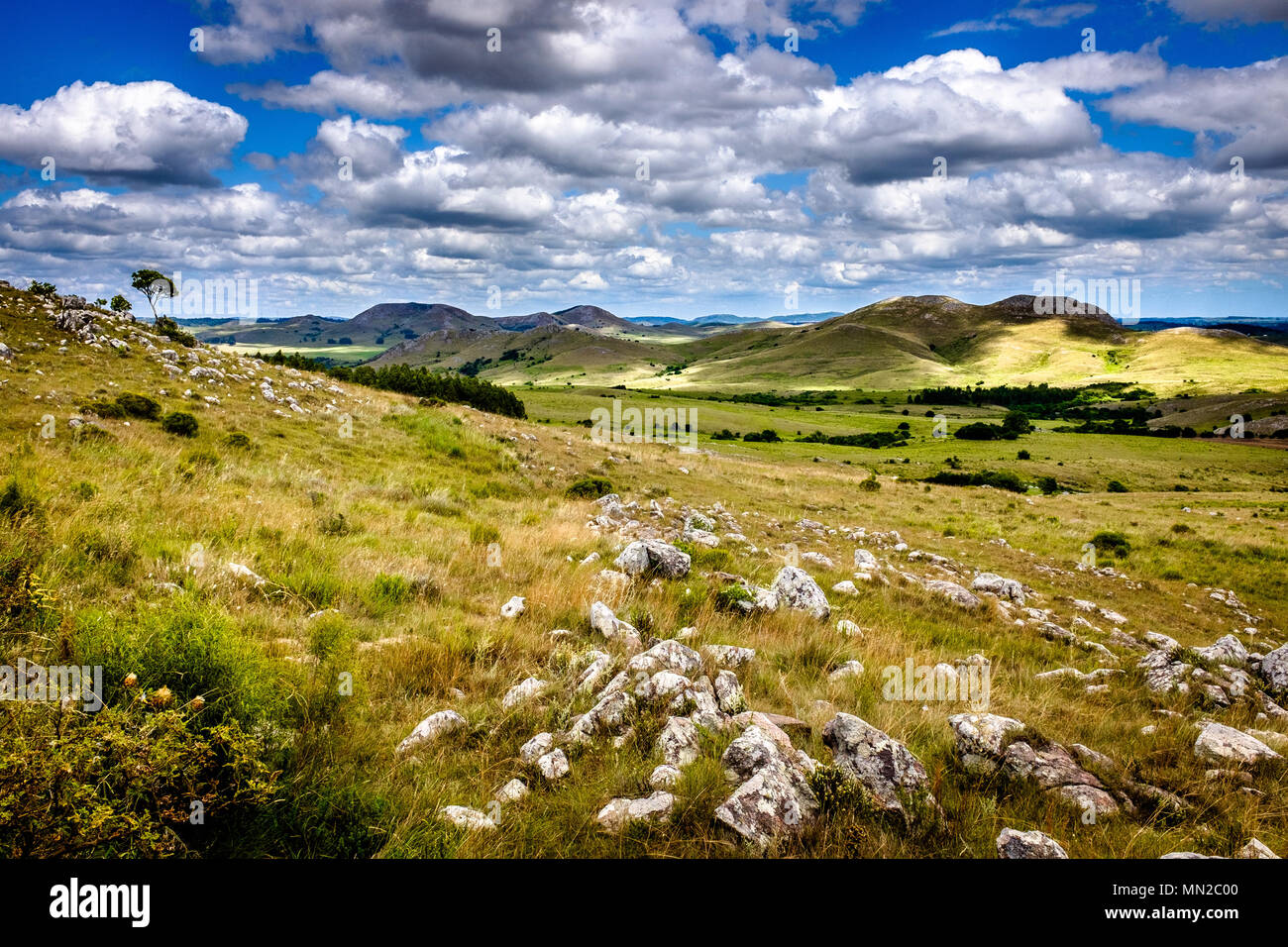 Uruguay: 2016/02/01. Landschaft der Uruguayischen Pampa, wenige Kilometer entfernt von der Hauptstadt Minas, Lavalleja Abteilung, in der Mitte des c Stockfoto