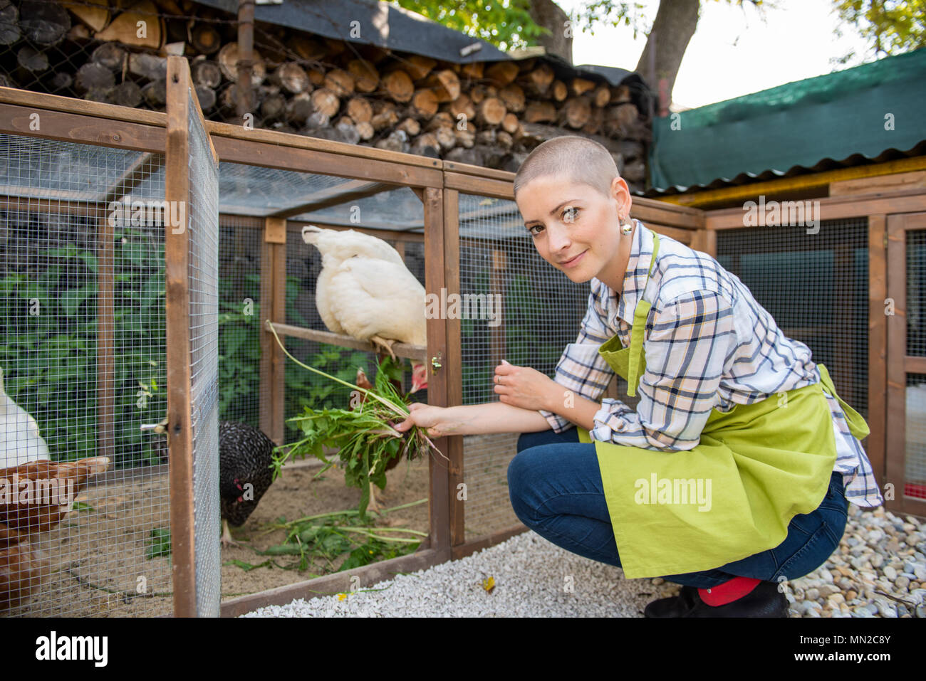 Junge Frau ihre freie Hühner füttern. Ei Legehennen und junge Frau Bauer. Gesunde organische Essen Lifestyle. Stockfoto