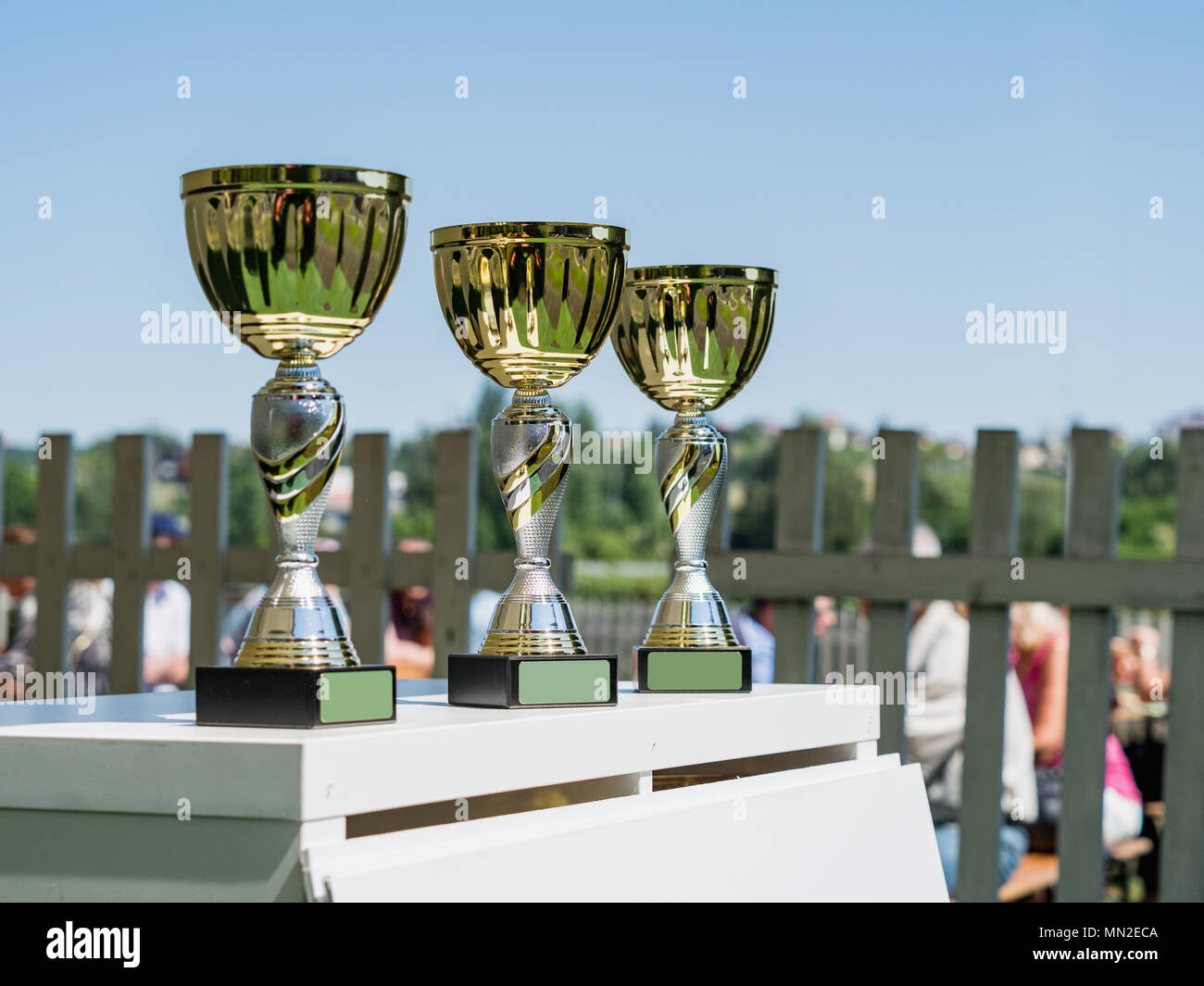 Trophäe für Meister. Gold Sieger Pokal für den Pferdesport (Reiter auf Pferd Hintergrund) Stockfoto