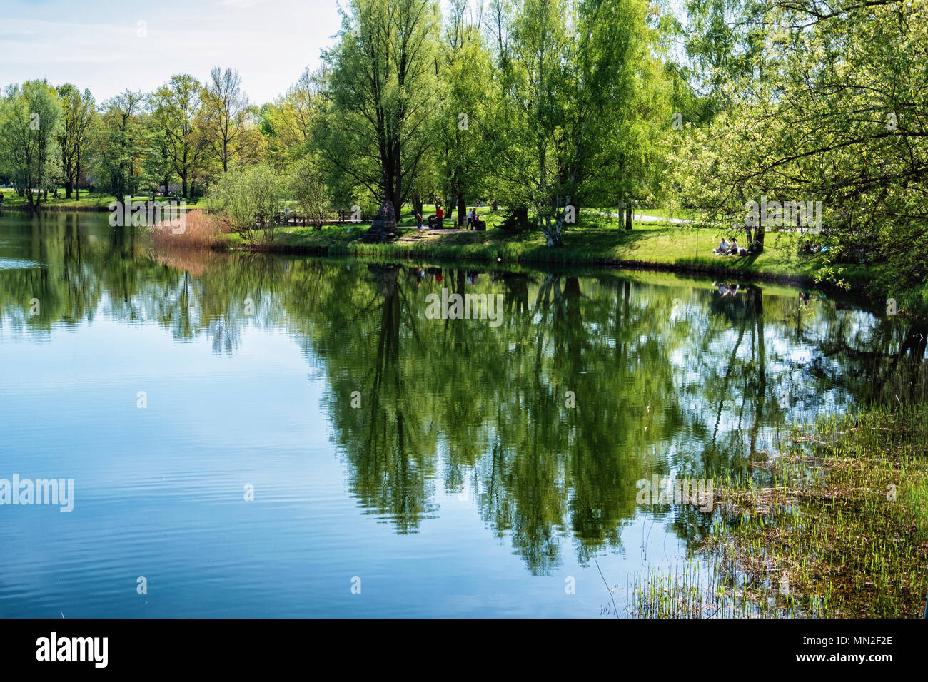 Britzer Garten, Neukölln, Berlin, Deutschland. 2018. Frisches Laub auf Laub Bäume und See mit ruhigem Wasser und Reflexionen im Frühjahr. Stockfoto