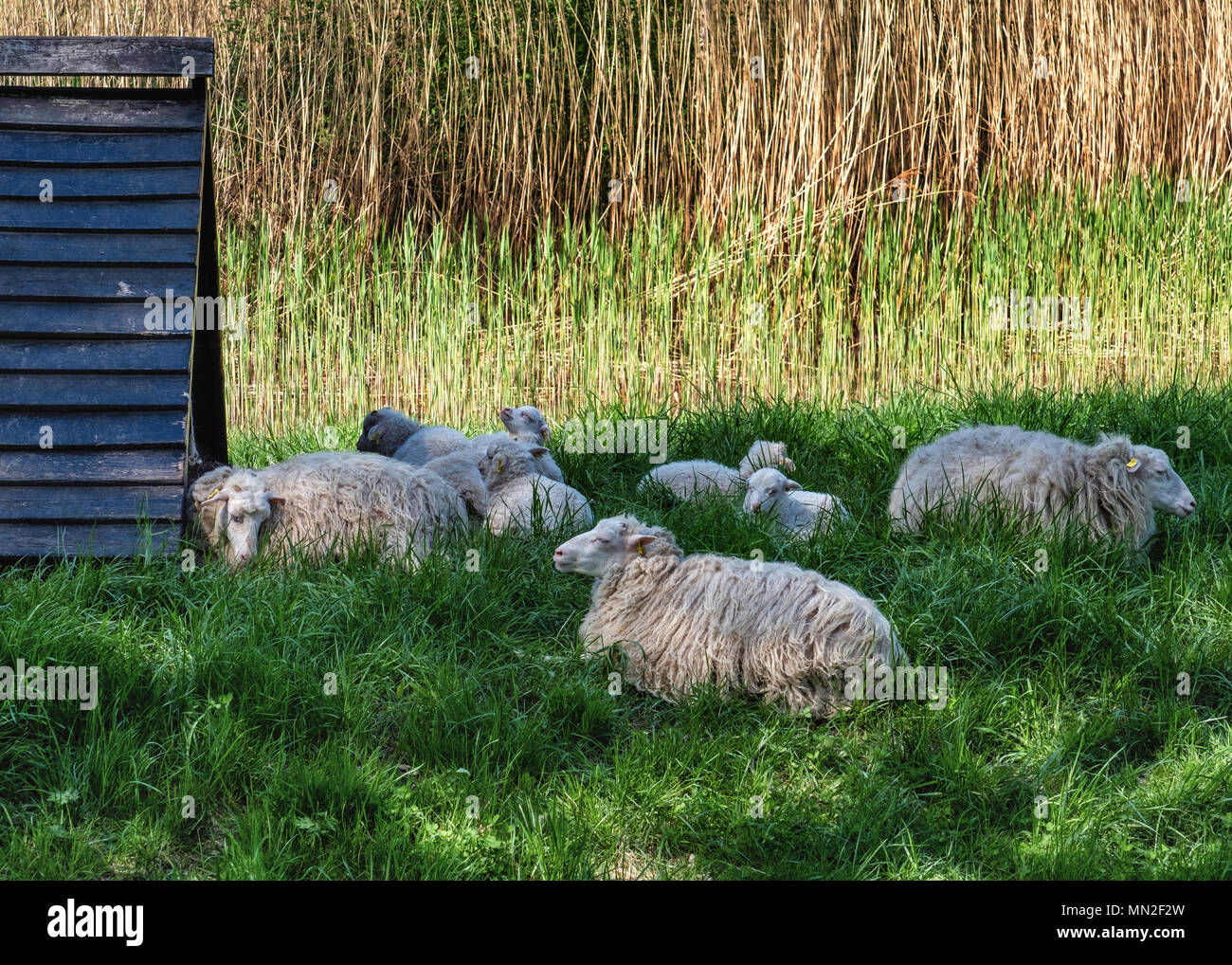 Berlin touristenort Fotos und Bildmaterial in hoher Auflösung Alamy