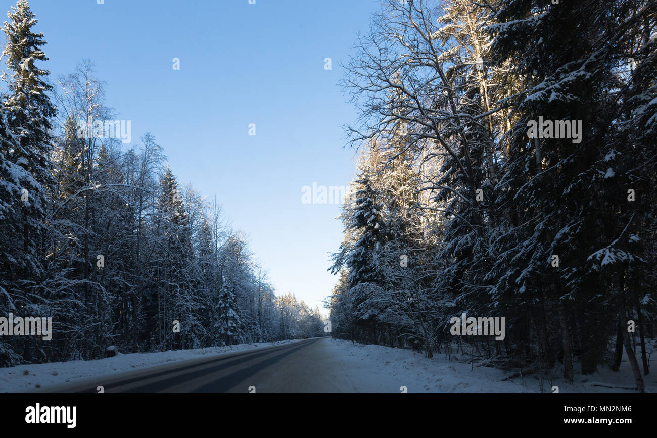 Anschluss in der Nähe der Wald im Winter Stockfoto