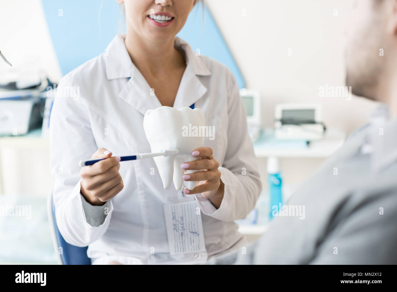 Den mittleren Abschnitt Portrait von lächelnd weibliche Zahnarzt holding Zahn Modell und zeigen, wie Zähne zu erkennen Patienten zu bürsten, kopieren Raum Stockfoto