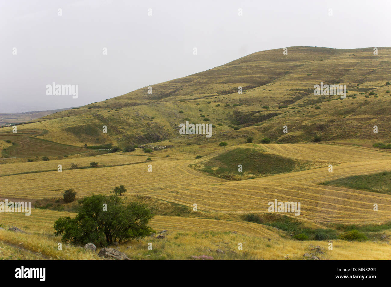 Blick von einem der vielen Hügel und Täler in und um die Region Galiläa in Israel. Durch die Fenster eines fahrenden Bus spät an einem diesigen Tag genommen. Stockfoto