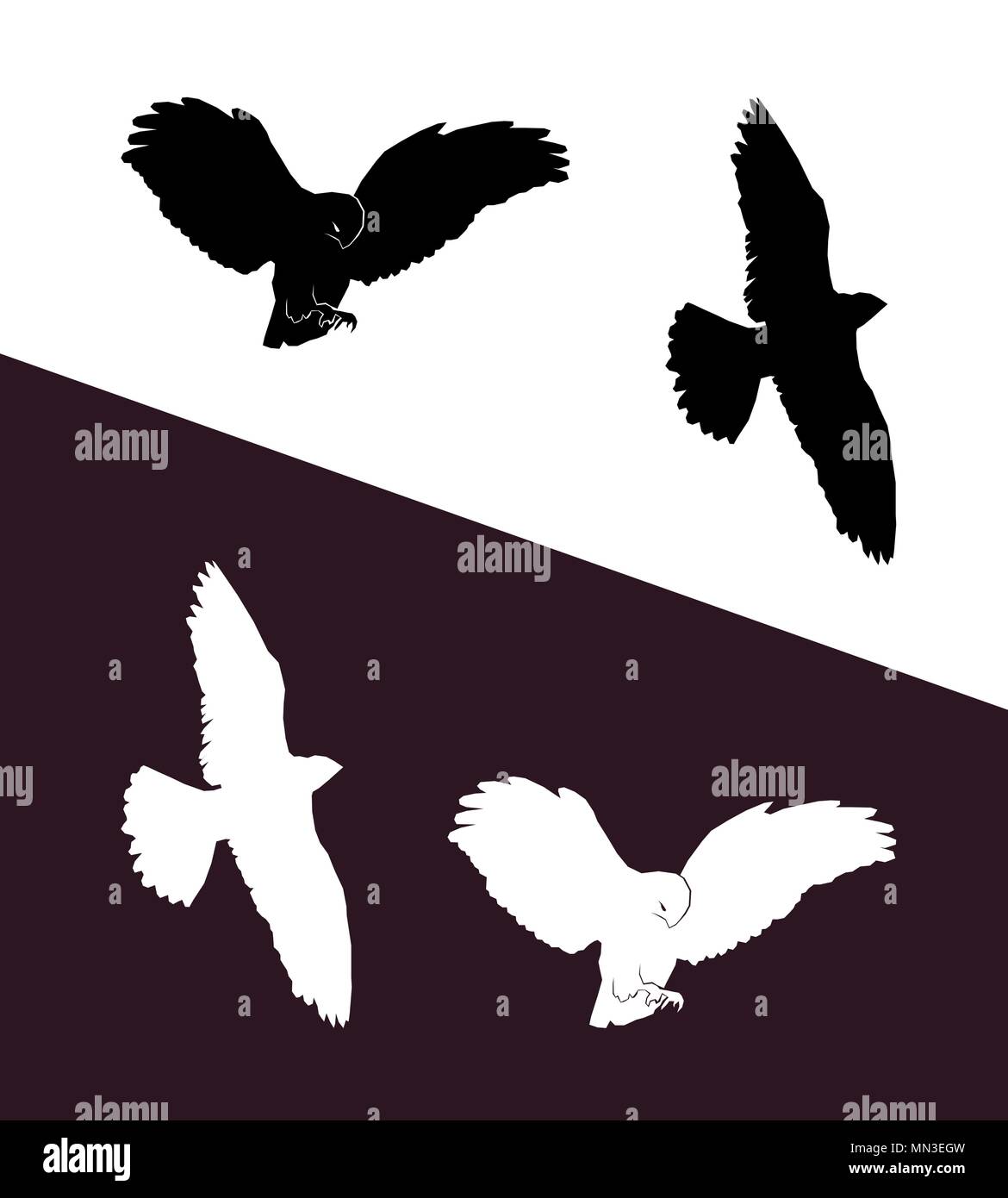 Satz von fleischfressenden hochfliegende Vögel auf schwarzen und weißen Hintergrund Stock Vektor