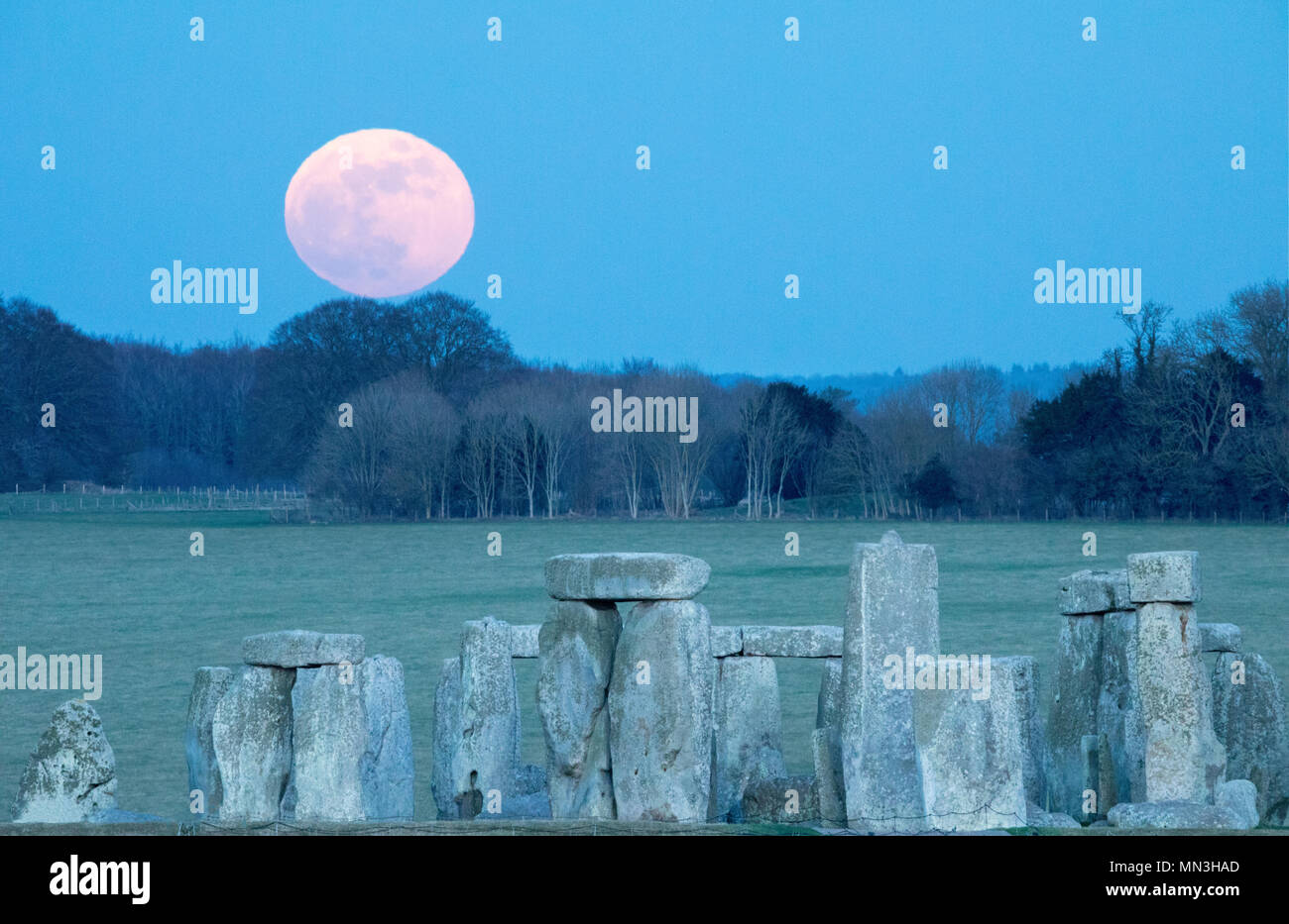 Die Super blue Mondaufgang über Stonehenge, Wiltshire, England, Großbritannien Stockfoto