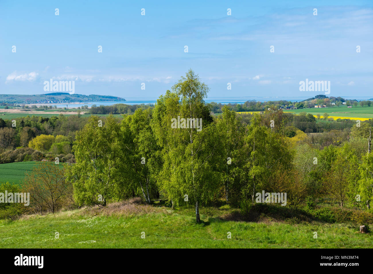 Blick über die Landschaft von Mönchgut, Göhren, Insel Rügen, Insel Rügen, Mecklenburg-Vorpommern, Sachsen, Germany, Deutschland Stockfoto