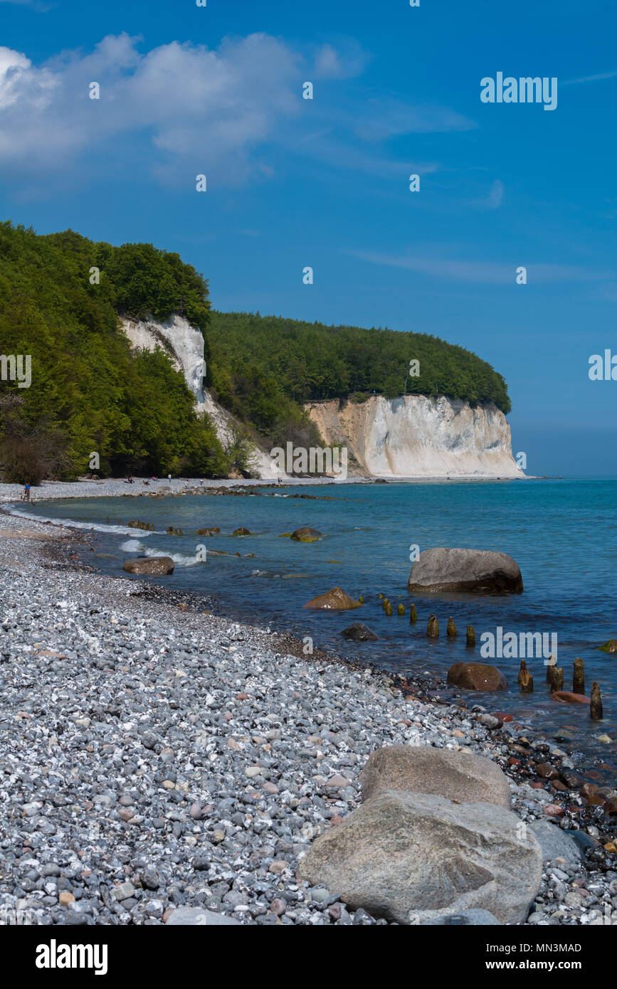 Weißer Kreide Küste, Insel Rügen, Ostsee, Mecklenburg-Vorpommern, Deutschland, Europa Stockfoto