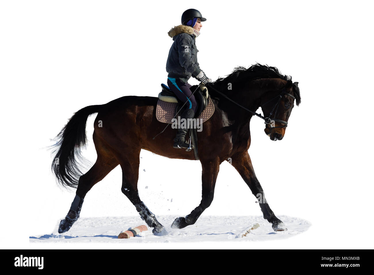 Reiten. Eine Frau reitet ein Pferd. Ausbildung. Stockfoto