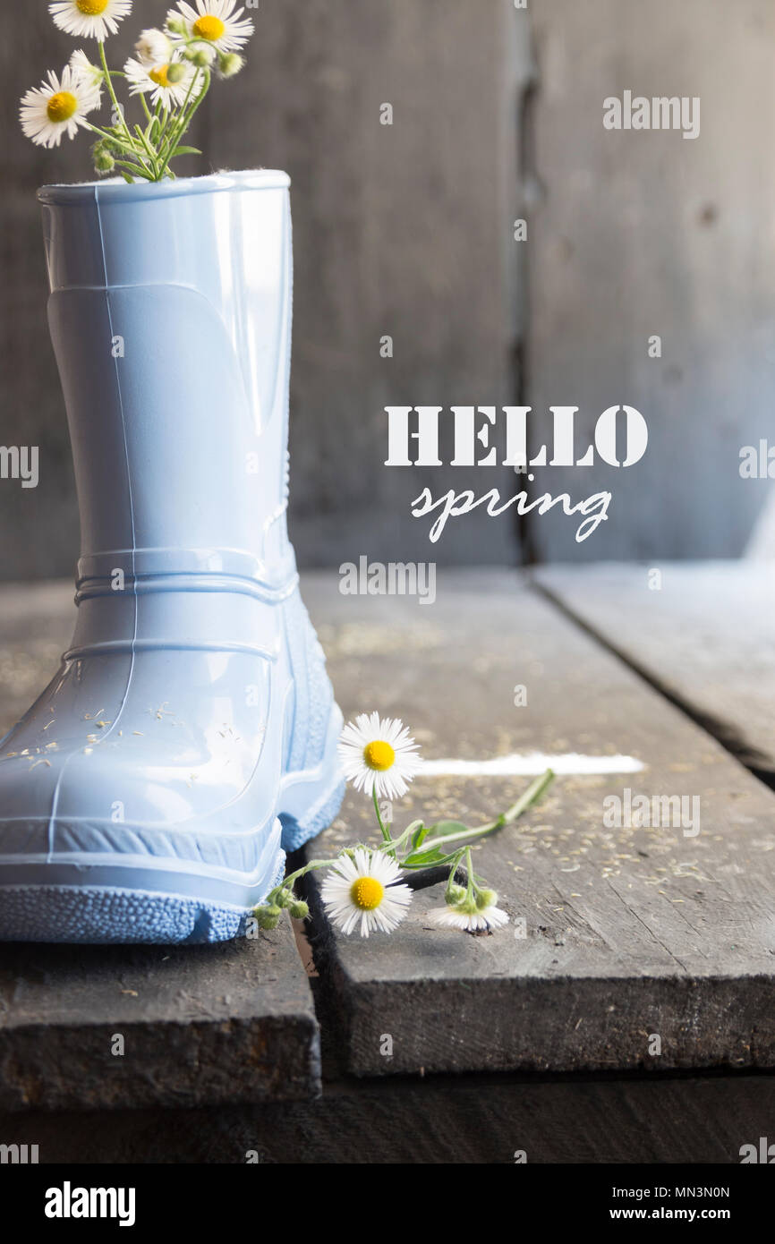 Hallo Frühling, Daisy und Stiefel auf einem Vintage Tisch, Stockfoto