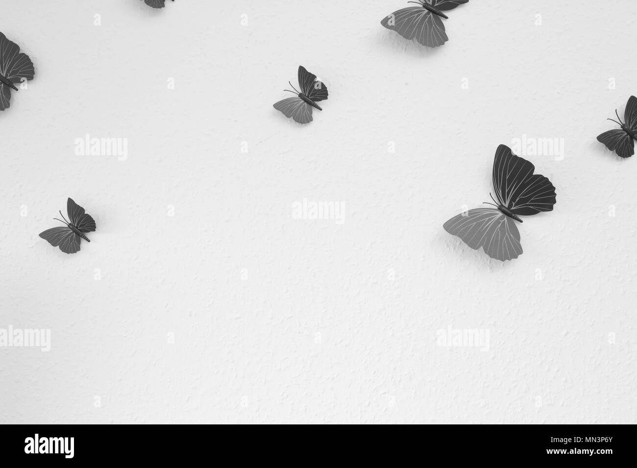 Schmetterling Hintergrund Textur Schwarz und Weiß Stockfoto