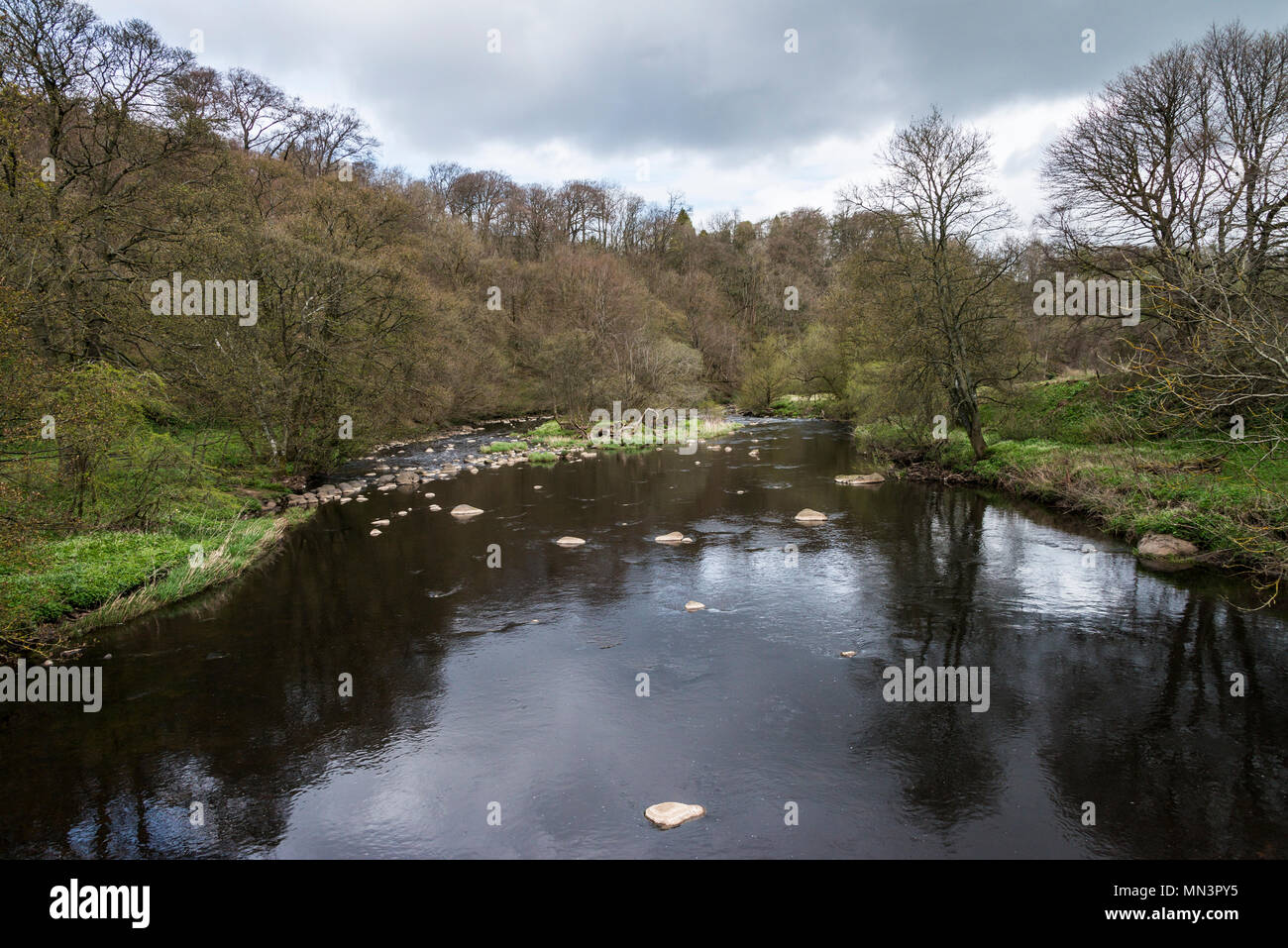 Der Fluss Mandel in Almondell Counrty Park Stockfoto