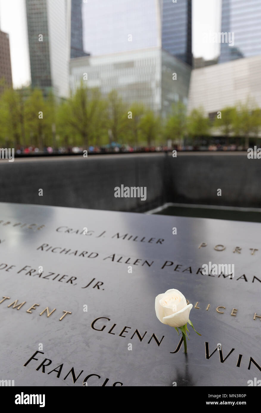 Blumen links in Gedenken an die Opfer des 11. September 2001 Angriff; das Denkmal 9/11 Pools, Downtown New York, New York City, USA Stockfoto