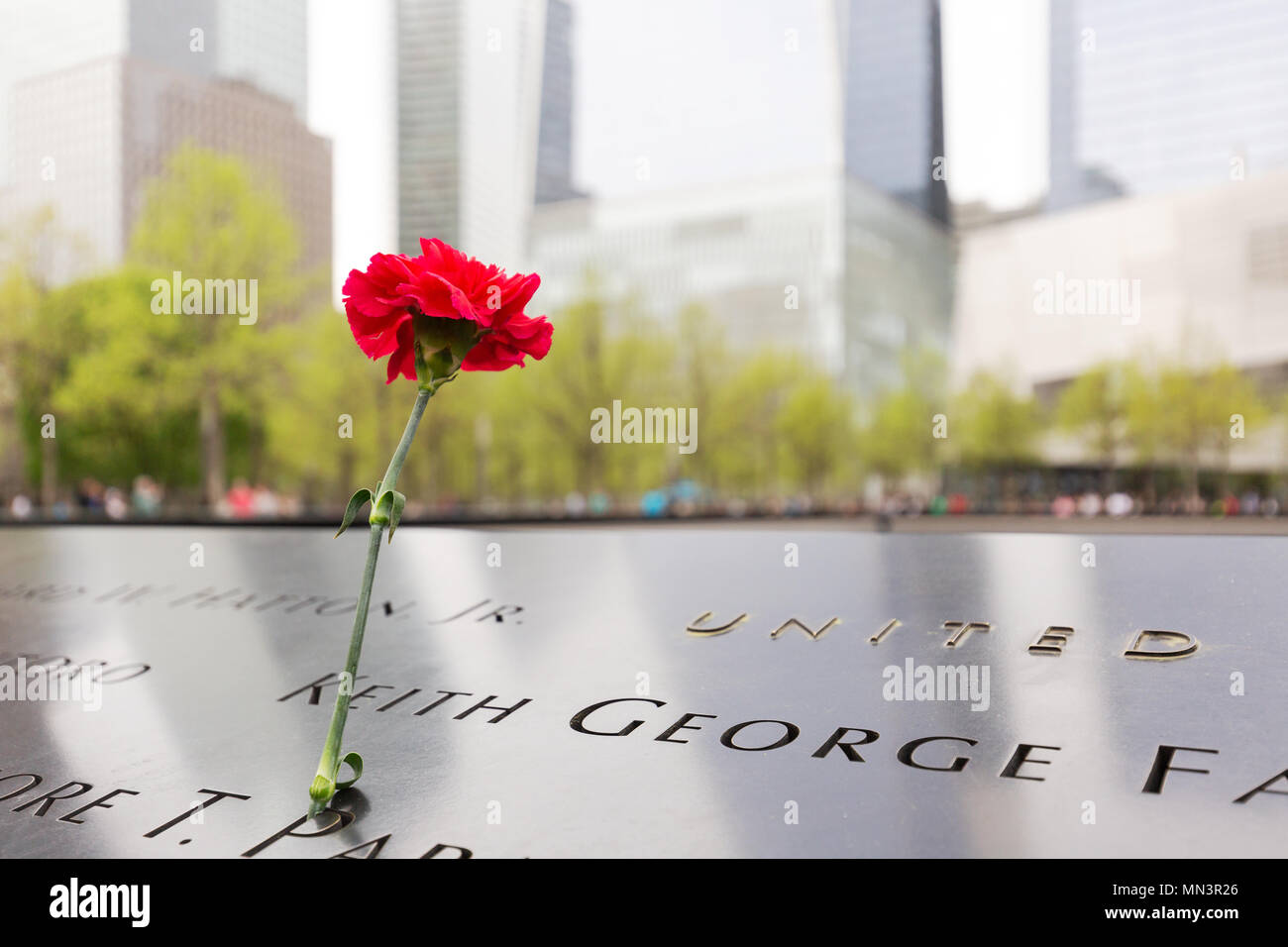 Blumen zum Gedenken an die Opfer des 11. September 2001 Angriff; das Denkmal 9/11 Pools, Downtown New York, New York City USA Siehe auch MN3R2H Stockfoto